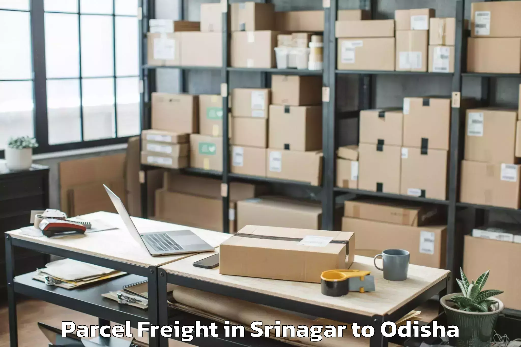 Book Srinagar to Jharsuguda Parcel Freight Online